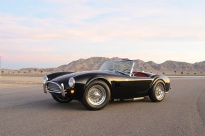 shelby cobra steve