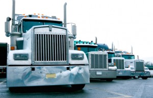 Picture of a row of eighteen wheelers.